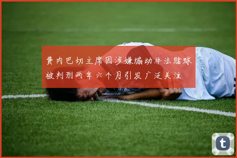 费内巴切主席因涉嫌煽动非法赌球被判刑两年六个月引发广泛关注