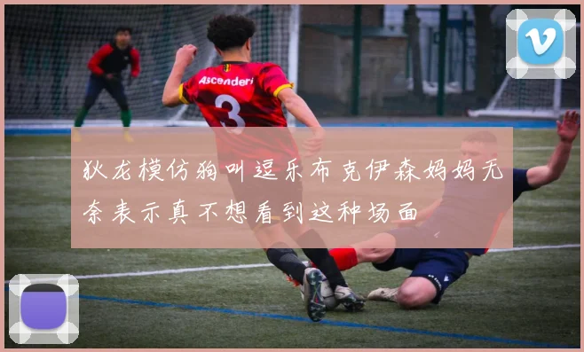 狄龙模仿狗叫逗乐布克伊森妈妈无奈表示真不想看到这种场面