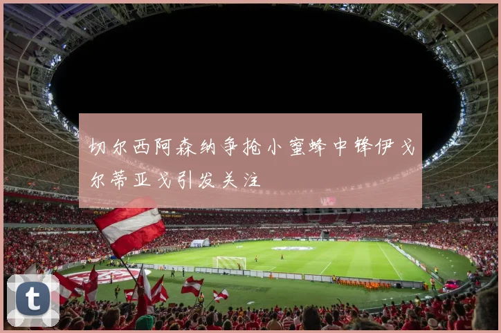 切尔西阿森纳争抢小蜜蜂中锋伊戈尔蒂亚戈引发关注