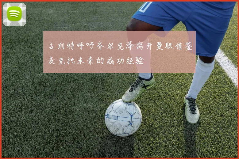 古利特呼吁齐尔克泽离开曼联借鉴麦克托米奈的成功经验