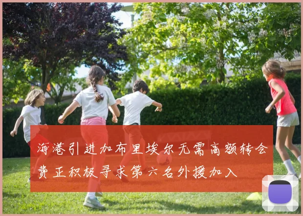 海港引进加布里埃尔无需高额转会费正积极寻求第六名外援加入