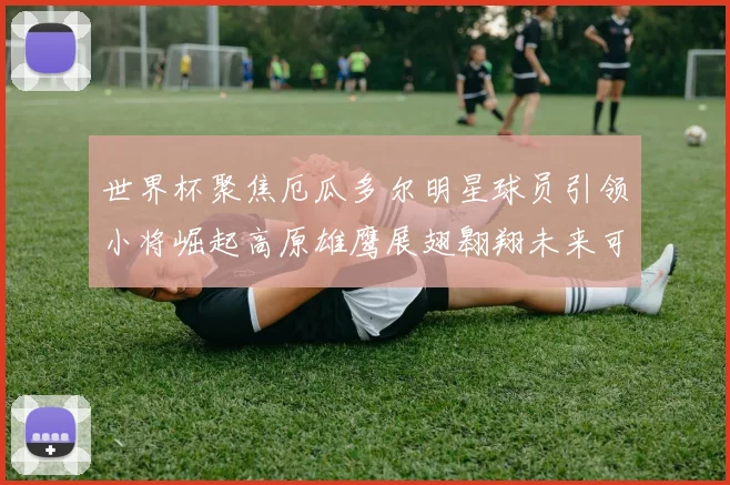 世界杯聚焦厄瓜多尔明星球员引领小将崛起高原雄鹰展翅翱翔未来可期